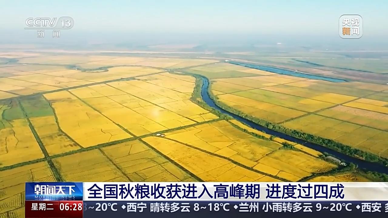 全国秋粮收获进入高峰期 进度过四成麻将胡了游戏寒露时节好“丰”景！(图1)