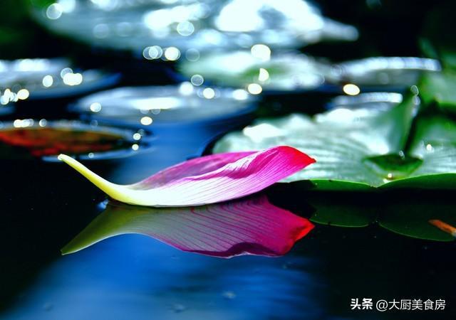 “就怕寒露是晴天”晴天有啥预兆？麻将胡了试玩明日寒露不一般老话讲